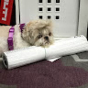 Meet your Posher, Jasmine